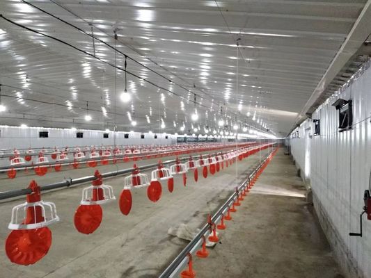 鋼鉄構造 鶏屋 鶏屋 プリファブ 農場 建築物 オーダーメイド
