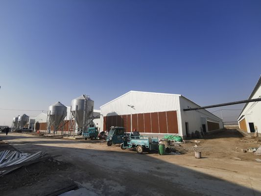 腐食防止 熱付 完全 アントマティック 鶏場 鳥棚 プリファブリック