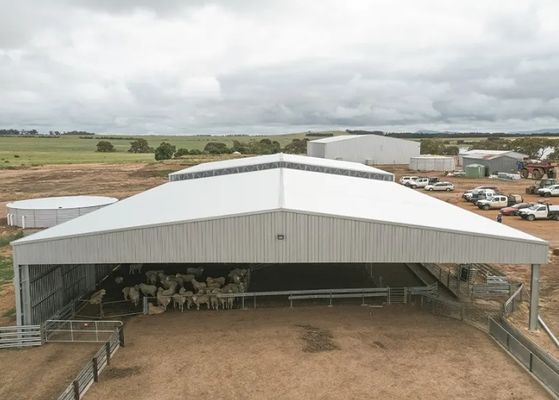 オープンウォール設計のクリアスパン高層プレハブ鋼鉄ホール倉庫小屋