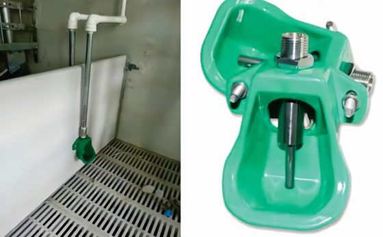 KXD ステンレス鋼 豚 乳首 飲み物 豚屋 設備 迅速 設置