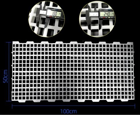 鶏場 プラスチックのスラット床 ブロイラーハウス 2kg 16*16mm / 20*26mm 穴