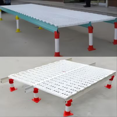 簡単 清潔 プラスチック スラット 床 鶏屋 カスタマイズ 色