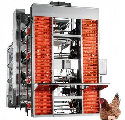 タイプ バッテリー層 鶏籠 自動 鶏 鶏飼育 設備