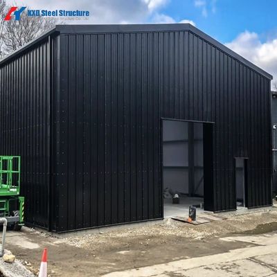 Professional Steel Shed / Storage / Steel Structure / Construction Building with CE Approved